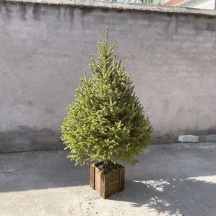 �}�Q�����ͥԺ�ɼ���}�Q���͏d����ͺ��}�Q���Zؐ�r��Ų����