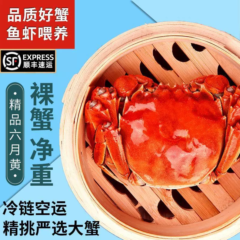 去绳净重活蟹六月黄大闸蟹鲜活特大螃蟹公蟹满黄水产礼盒8-12只厂