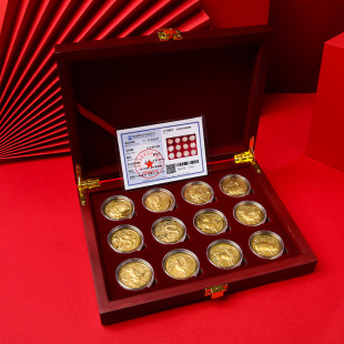 2025����½�ʮ����Ф���Ž��Sɫ�o��Ž�l�y�б��U�R�q�YƷ