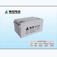 �W��12V65AH 6-EVFJ-65늄���܇���U���z�w늳�
