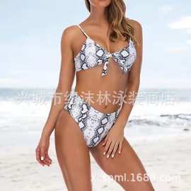 新款性感三点式温泉比基尼小胸聚拢海边泳衣女