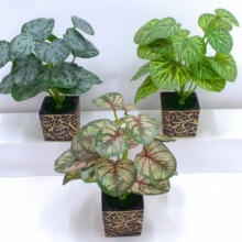 绿植红掌植物盆栽芋叶仿真盆景装饰 海棠叶盆景 17头三叶草盆景