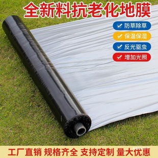 Agricultural Thickened Silver and Black Two-Color Reflective Mulch Film for Insulation and Planting, Plastic Film for Insect Prevention