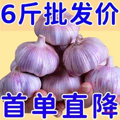 批发紫皮大蒜新鲜大蒜包邮紫皮大蒜直降蒜头头大首单新干中国大陆