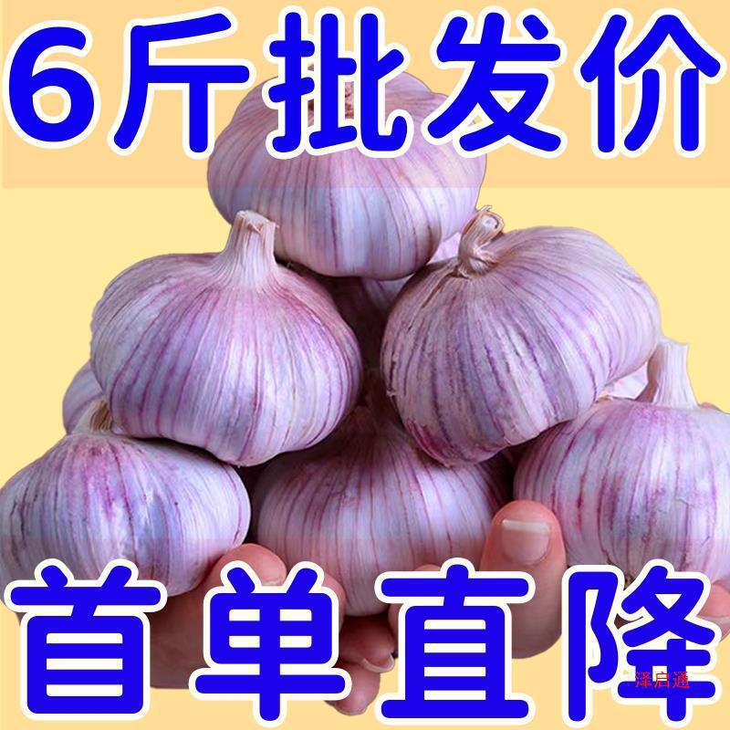 Wholesale Purple-Skinned Garlic, Fresh Garlic, Free Shipping, Purple-Skinned Garlic, Direct Sale of Garlic Bulbs, First Order, New Dried Mainland China