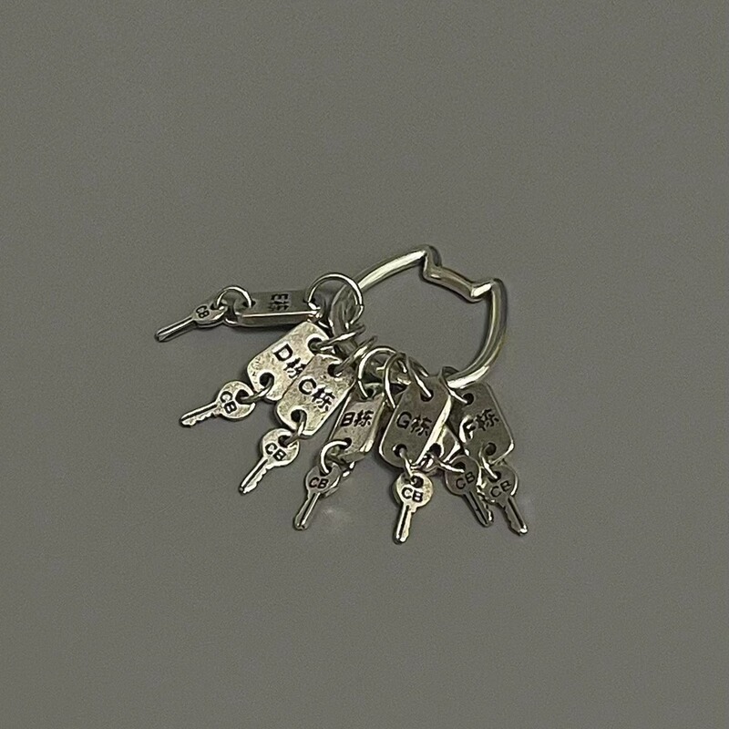 Keychain with the Same Style as the Little Red Book, Metal Pendant, Personalized Retro Niche Design Pendant Keychain Accessories