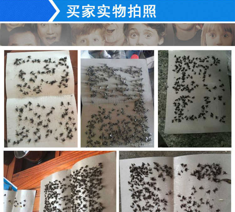 S202103020201-详情 (1).jpg