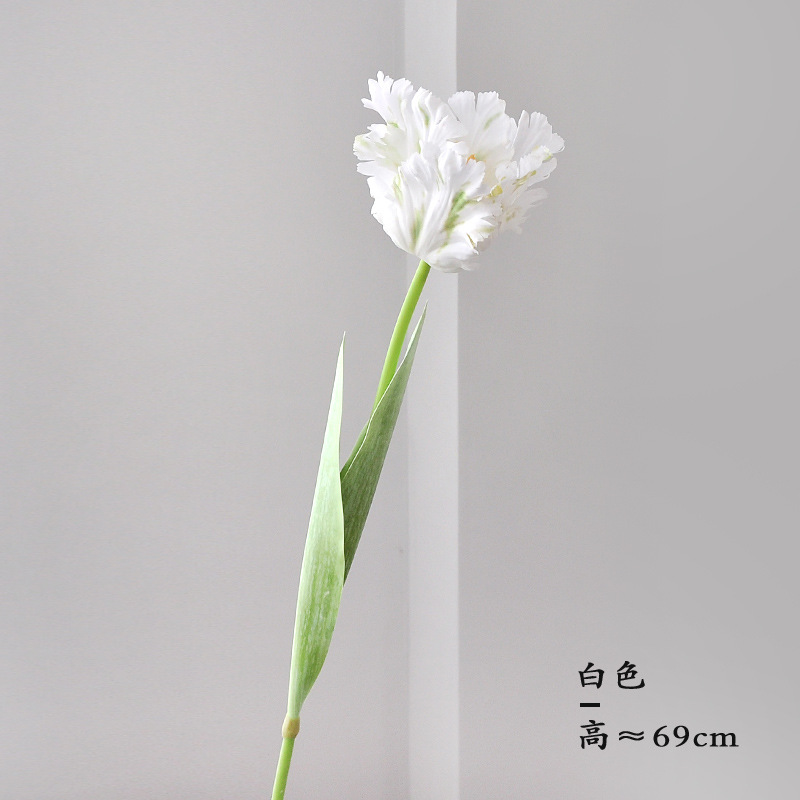 하얀색