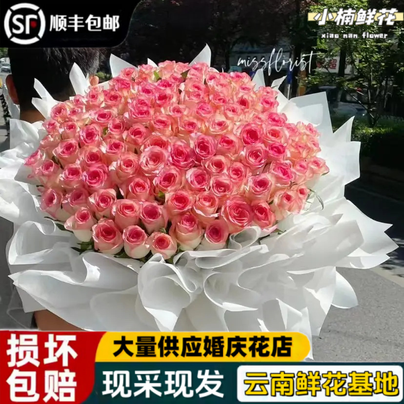 玫瑰花鲜花云南基地直发顺丰包邮家用鲜切插花情人节花鲜花直发批