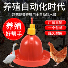 加厚普拉松养鸭鹅鸡用自动饮水器喂水器加水壶养鸡养殖设备鸡用品