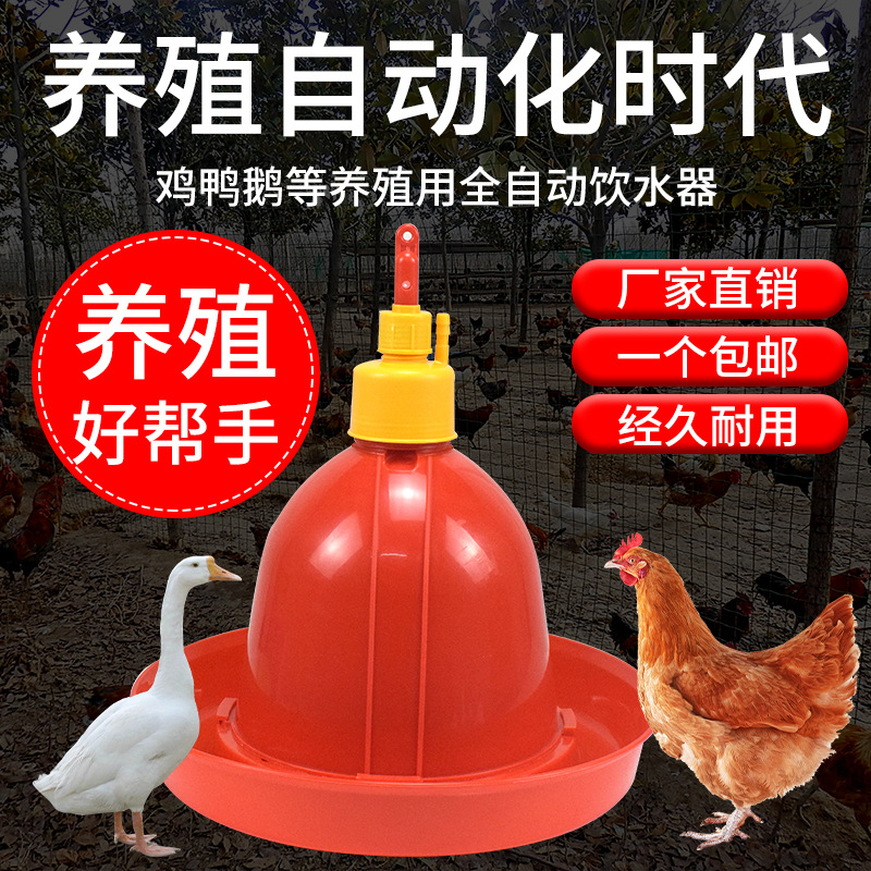 Pato de Prasong espesado, Ganso, pollo, dispensador automático del agua, alimentador del agua, Caldera, equipo de la cría del pollo, fuentes del pollo