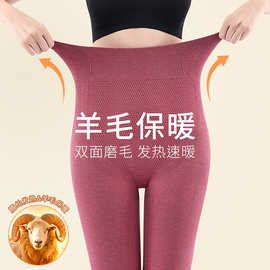 秋冬绵羊毛女士保暖裤高弹打底裤收腹裤提臀紧身修身美体女士秋裤