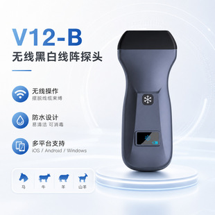 V12-B�o���F�� �ڰ׾��B��̽�^ ţ���R�������z�y Դ�^���S