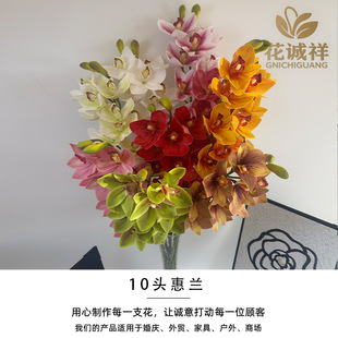 �����¿�EVAʮ�^ޥ�m���滨�Ҿӿ͏d���Ô[���Ƶ걳�����b����l