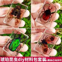 ��ͯ���x�˱�������������diy���ϰ���֬�z����ֲ���������̫��