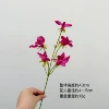 Small single pea flower [rose red]
