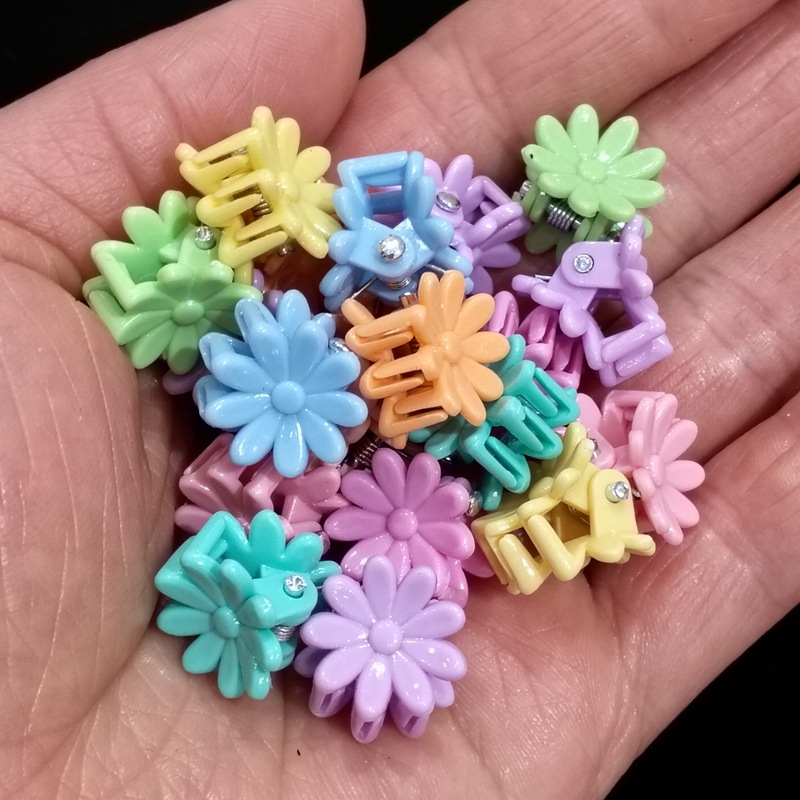 1.5cm 컬러 데이지 혼합 색상