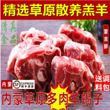 羊蝎子蒙吉鲜内蒙古锡盟羔羊4斤冷冻羊脊骨带骨髓火锅食材新鲜2斤