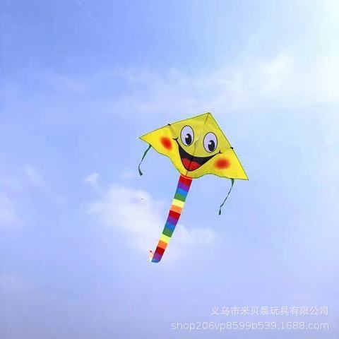 New large cartoon kite children's kite adult large kite triangle curved edge kite hot sale at street stalls in scenic spots