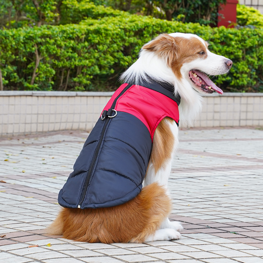 Ropa para mascotas, estilo otoño e invierno, chaleco de algodón para perros, ropa para perros y gatos, golden retriever, perros medianos y grandes, arnés al por mayor