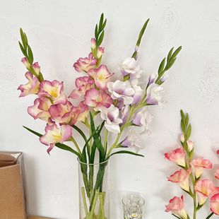 ���m�����滨�b[���ߙn����ٻ��߼��п͏d��ز廨ˇ�쾰����