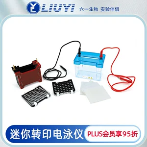 Пекин 1 июня Mini Transfer Electrophores Intustral Dycz-40D подходит для эксперимента WB Dycz-24DN.