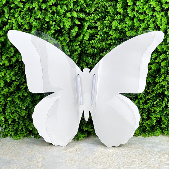 Double-layer blank butterfly diy material three-dimensional transparent children's drawing paper parent-child activity graffiti hand-painted outdoor sketching