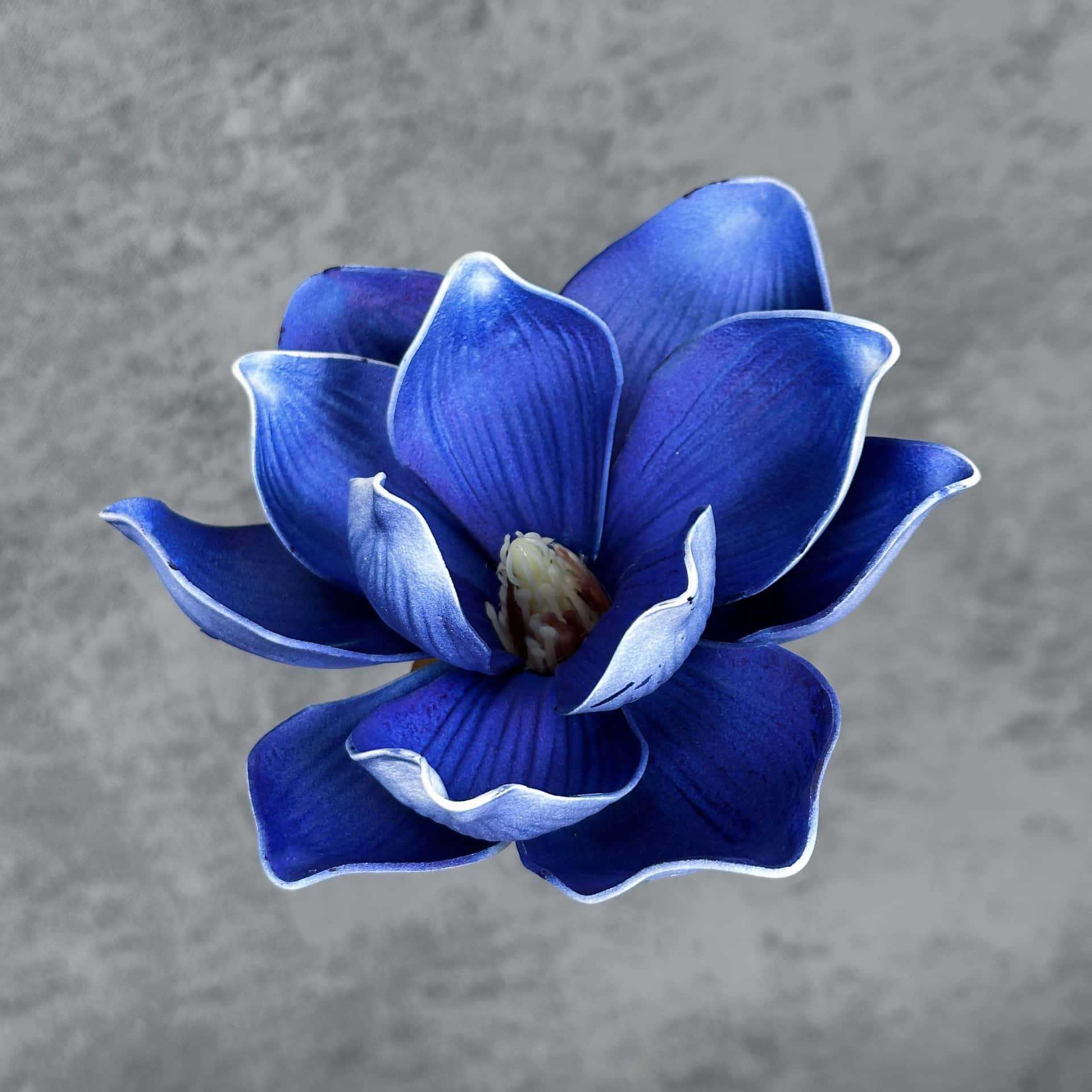 Flor de simulación transfronteriza EVA cabeza de magnolia 13cm tacto tocado kapok decoración decoración decoración flor falsa al por mayor