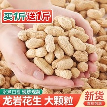 ������������ζ�����������y���}�ִ�ˮ�����׳�؛�ɹ�5��ɢ�b