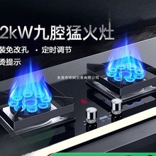 志高天然气燃气灶具嵌入式液化气煤气灶家用双灶燃气灶猛火灶炉具