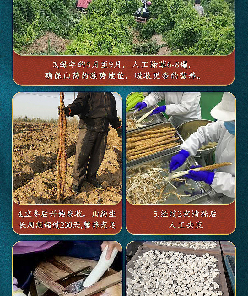 Wushen Soup Herbal Blend Five Herb Decoction Pack with Chinese Yam Poria Lotus Seed Euryale and Taizishen for Soup and Congee specifications