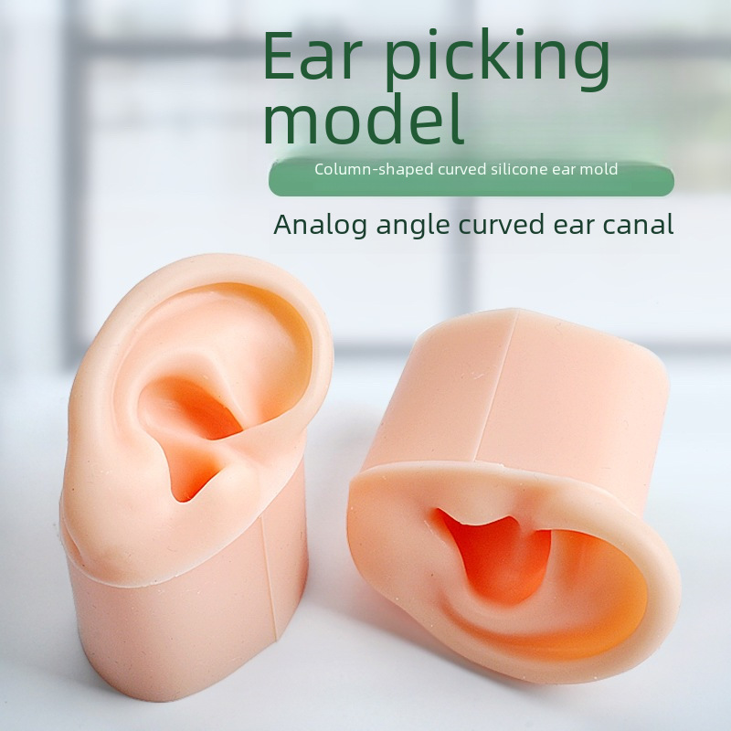 Ear -mining tools Following ear teaching model Ear model Candidic…