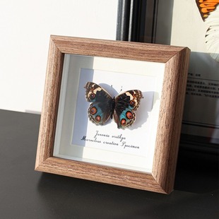 Green Blue Eye Nymphalid Natural Real Butterfly Specimen Decorative Painting Finished Decoration Hanging Painting for Girlfriend's Birthday Gift