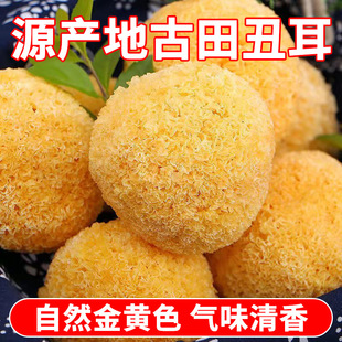 �����خaŴ�y���������С���~�y����؛ܛŴ���z��؛һ�����l���l