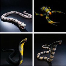 �羳��ͯ�������x����֩��ģ�����������M���R������[��������M