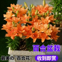 �ٺ����Ԏ������ذ갫���ٺρ��ްٺ���ˮ�ٺώ������ͺ�����ֲ��