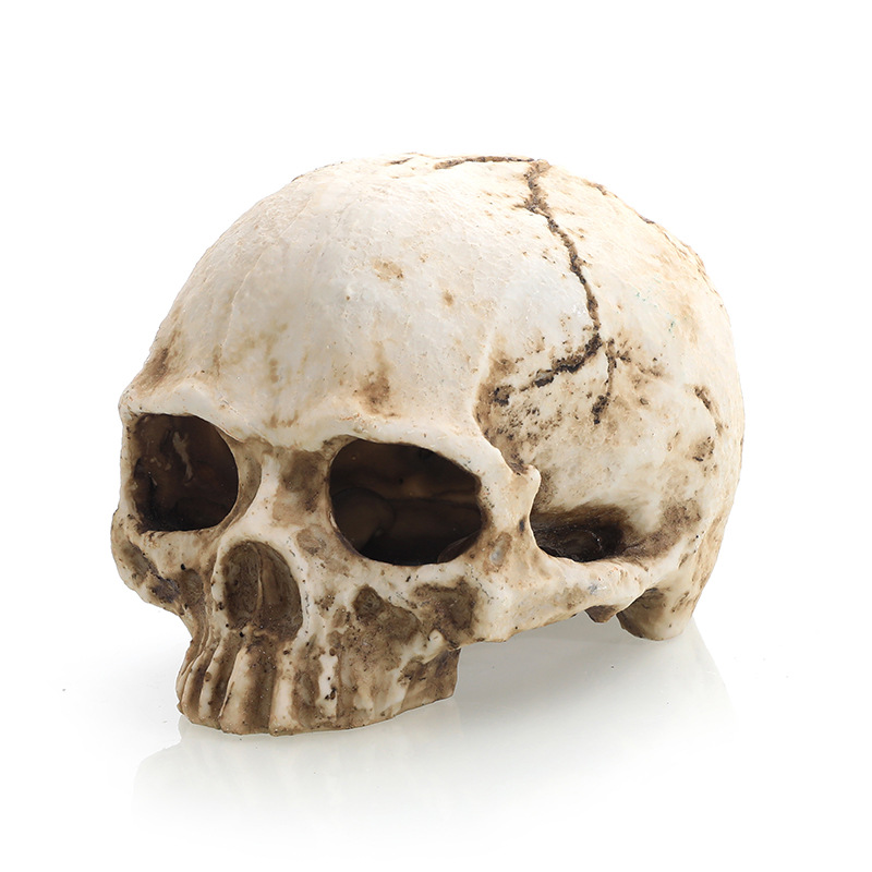 Caja de reptiles decoración de paisajismo crin león lagarto serpiente araña escorpión cueva pecera acuario decoración paisajismo calavera hueso