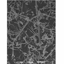 ���ӹ�����΢��̼���� �{��̼���� ؐ�� ������ �߼�SiC ��횠�