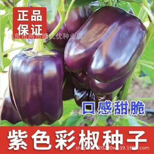 ϷNӽ\ཷNӲˈ@rϺ̨ԷN