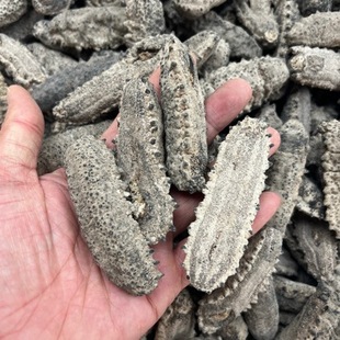 ���l����� �������Űͅ����Ѕ��ㅢ �����̅� ������ ���|���]