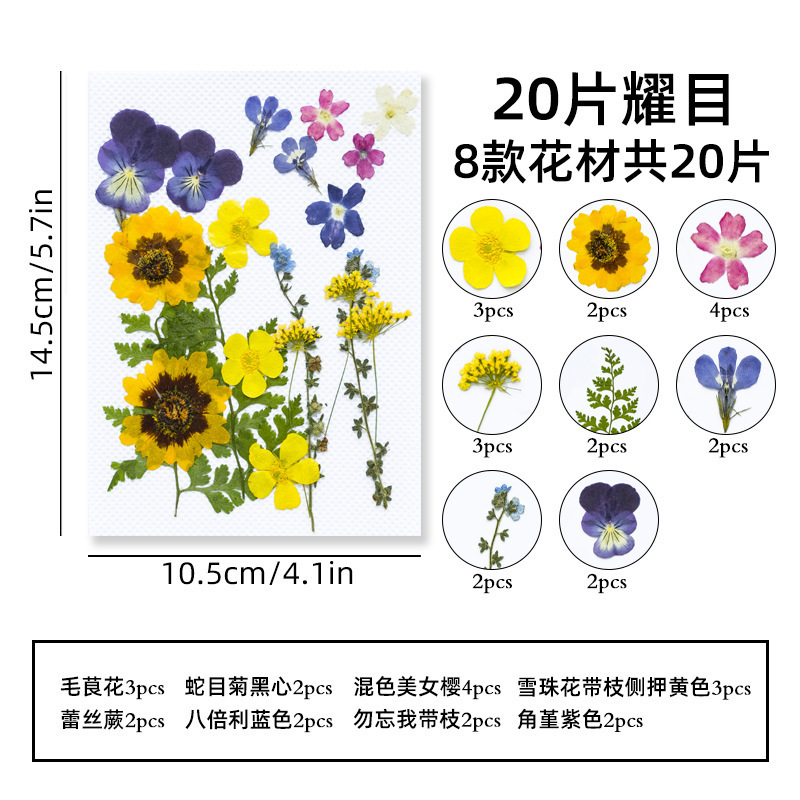 Marcapáginas de flores secas, material artesanal hecho a mano, colección infantil de otoño, libro en la botella, espécimen de hoja transparente, película de sellado de plástico