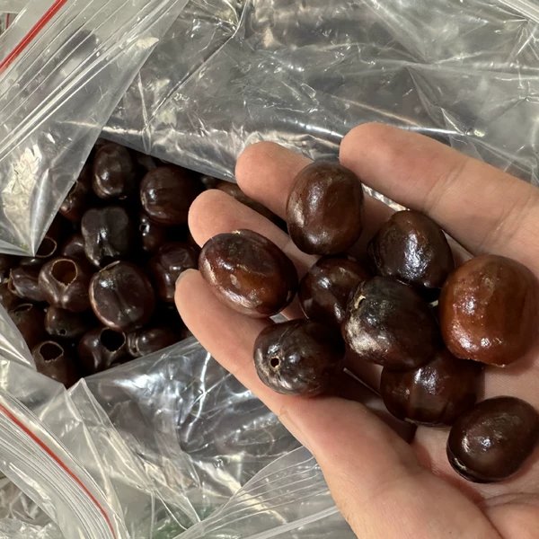 Pala flower cardamom 1 piece (punched) There are good and bad goods