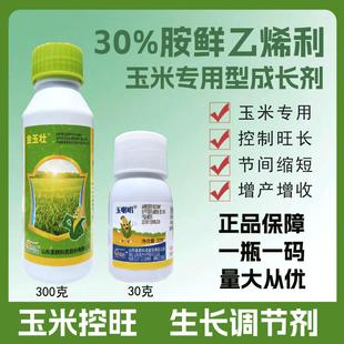 30%���r����ϩ��ֲ�����L�{���� ���l�����{���rș30�����׿���