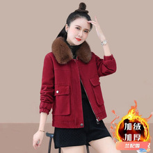 �ӽq�Ӻ�����׶̿��ɿ˷�ë�IŮʿ���\2025�¿�r����Ů����b