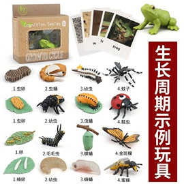 车模型;过家家玩具;动植物仿真