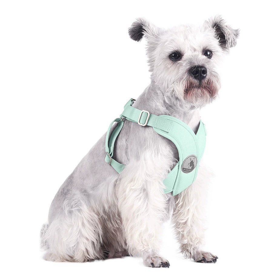 Pet нагрудный ремень Новый Макарон свежий летний жилет собака поводок для домашних животных собака поводок