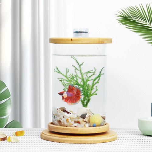 Miniature Small Desktop Ecosystem Bottle Creative Office Tempered Glass Micro Scene Tank Bedroom Rotating Betta Fish Tank