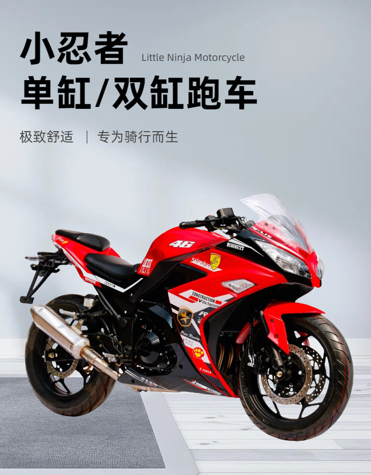 Customized Small Ninja Motorcycle Sports Car, Dual-Cylinder Water-Cooled 400Cc, National Iv Standard, Efi, Street Legal Motorcycle