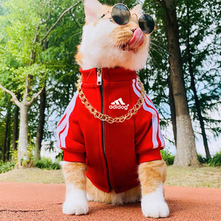 С�д�Ȯ��朳����l���ֹ����ֱ�ů�������ܹ���؈�䌙���·��ﶬ