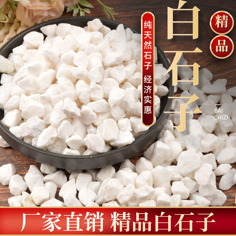 50斤装白色石子石头大鹅卵石庭院铺路铺地小白石头造景景观白石子